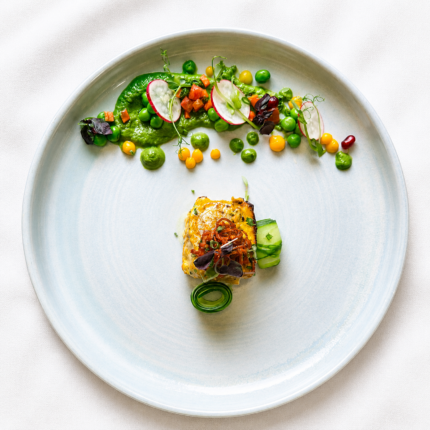 Artfully plated fine-dining starter featuring grilled paneer served with a bright green pea puree.